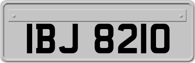 IBJ8210