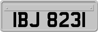 IBJ8231