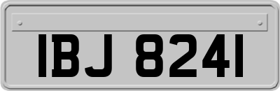 IBJ8241