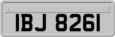 IBJ8261