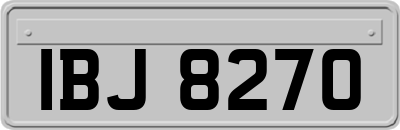 IBJ8270