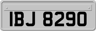 IBJ8290