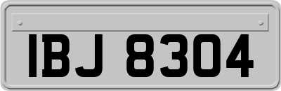 IBJ8304