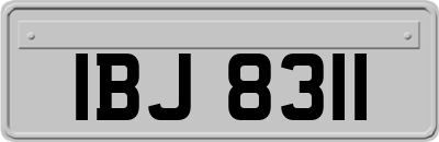 IBJ8311