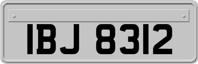 IBJ8312