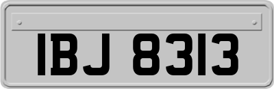 IBJ8313