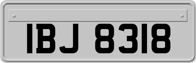 IBJ8318