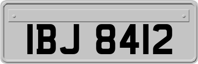 IBJ8412