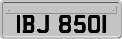 IBJ8501