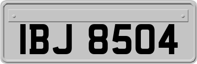 IBJ8504