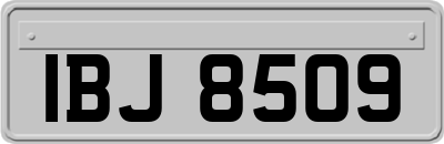 IBJ8509