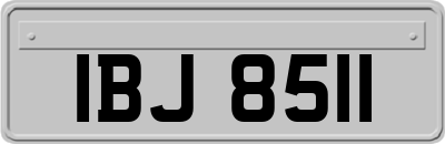 IBJ8511