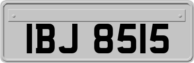 IBJ8515