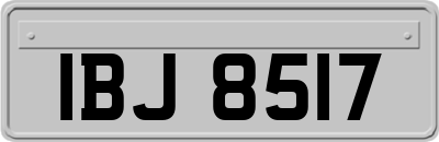 IBJ8517