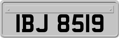 IBJ8519