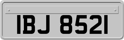 IBJ8521