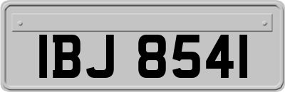 IBJ8541