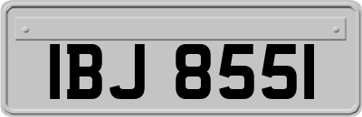 IBJ8551