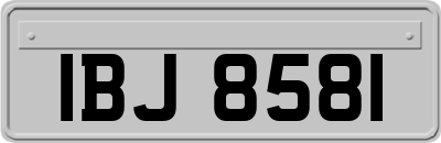 IBJ8581