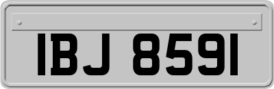 IBJ8591