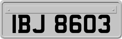 IBJ8603