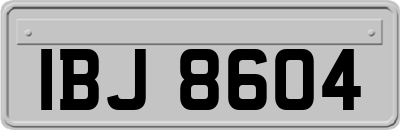 IBJ8604