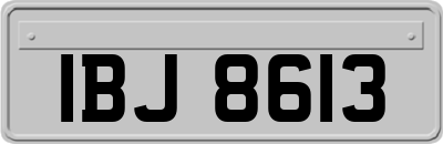 IBJ8613