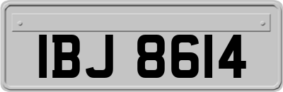 IBJ8614