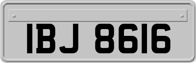 IBJ8616