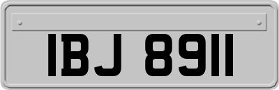 IBJ8911