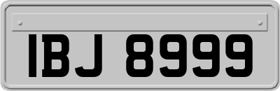 IBJ8999