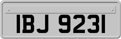 IBJ9231