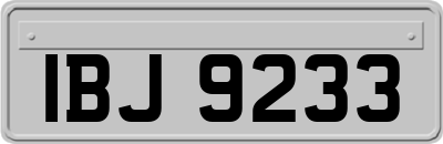 IBJ9233