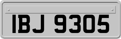 IBJ9305