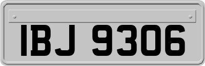 IBJ9306