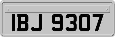 IBJ9307