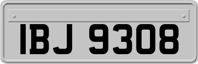 IBJ9308