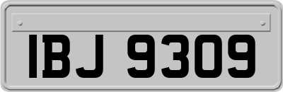 IBJ9309