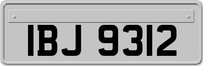 IBJ9312