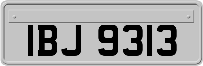 IBJ9313