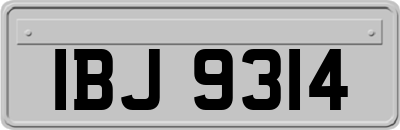 IBJ9314