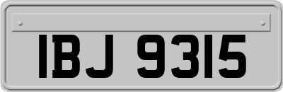 IBJ9315