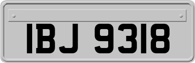 IBJ9318