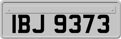 IBJ9373