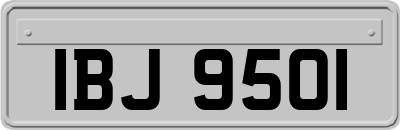 IBJ9501