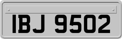 IBJ9502