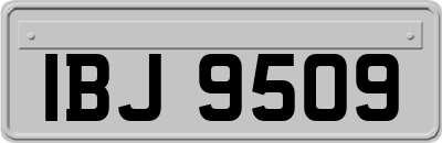 IBJ9509