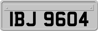 IBJ9604