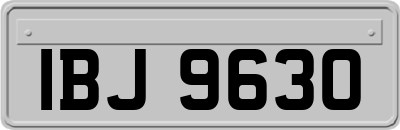 IBJ9630