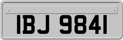 IBJ9841